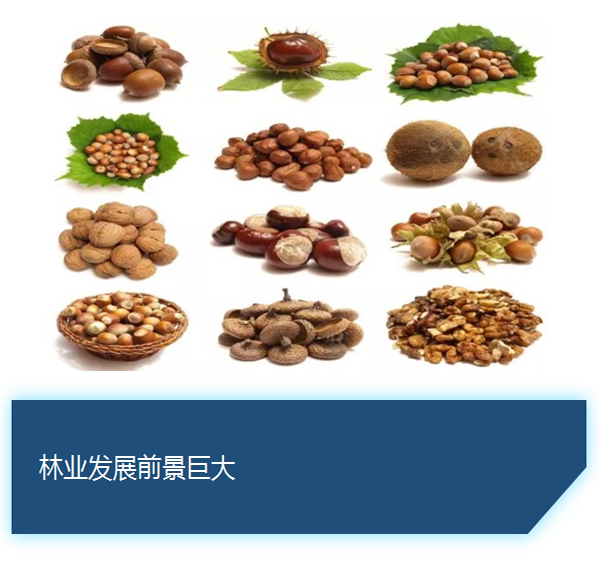 鄭州國(guó)際汽車(chē)公園總面積2719.65畝